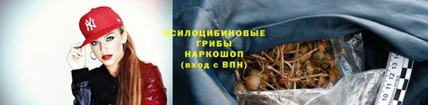 MESCALINE Горняк