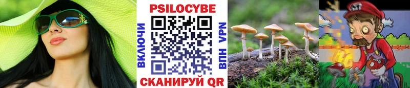 где продают наркотики  Благовещенск  Галлюциногенные грибы MAGIC MUSHROOMS 